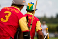 Polo 2010 season