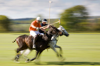 Polo 2009 - some highlights